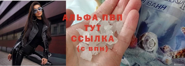 PSILOCYBIN Няндома