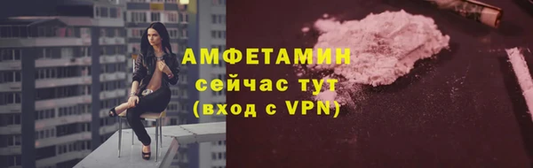 PSILOCYBIN Няндома