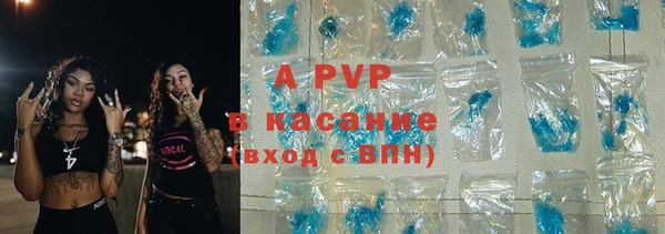PSILOCYBIN Няндома