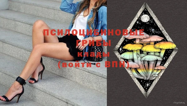 PSILOCYBIN Няндома